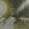 fence