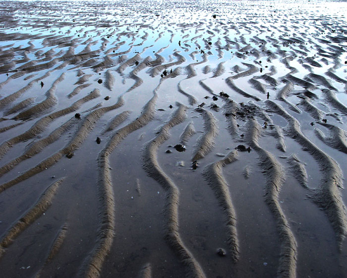 Ripples - 