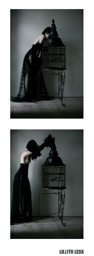 Elle Vend Le Sanctuaire. - 