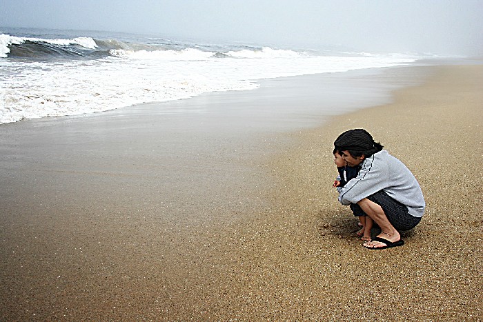 Beach Day - 