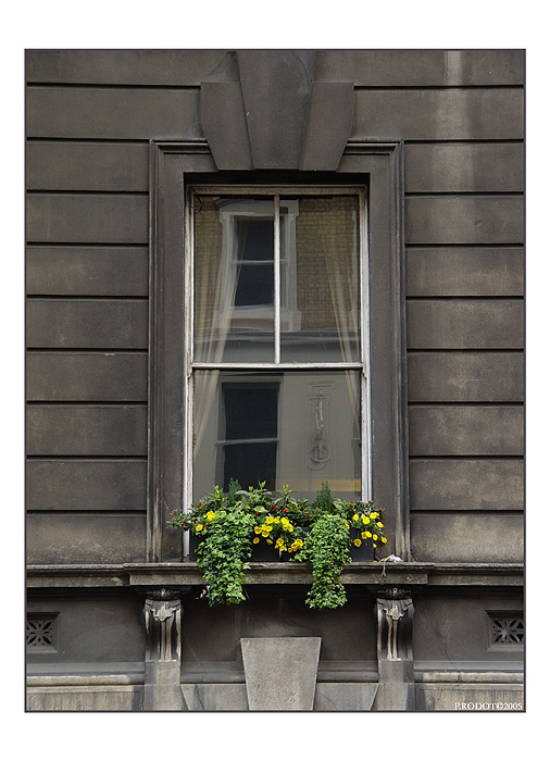 A Touch Of Color - 