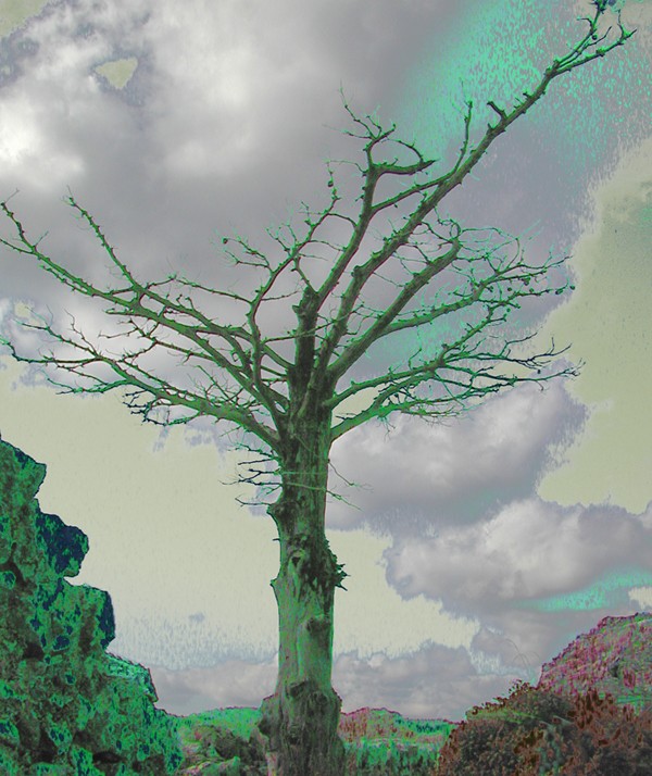 Apocalypse Tree - 
