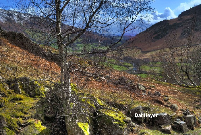 A View Through A Valley - 