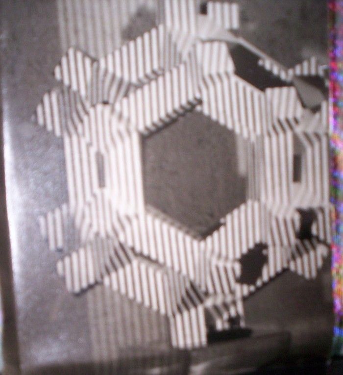 NANO-ZEBRA Structure - 