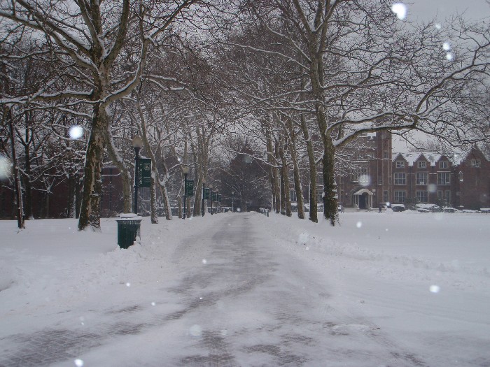 Snow Day - 