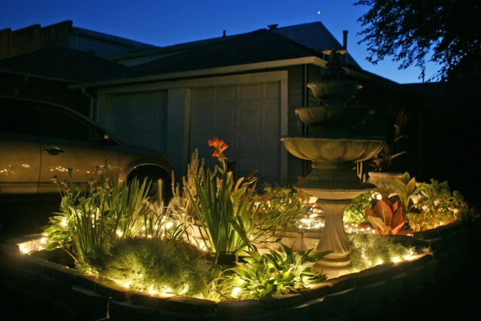 A Night In Paradise - 