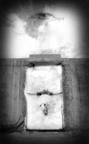 The EYE.... - 