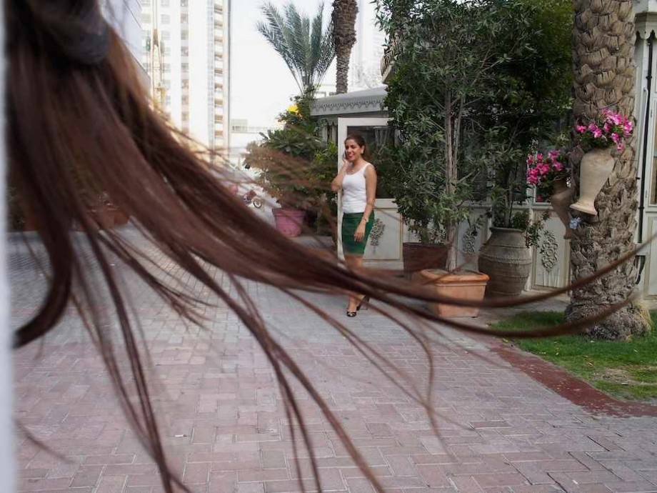 Palm - 