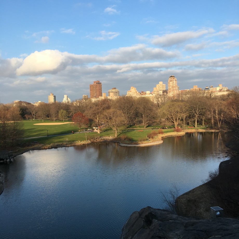 Central Park - 