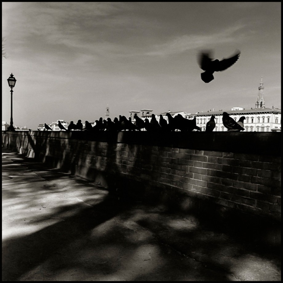 Firenze - By Augusto De Luca. N. 9 - 