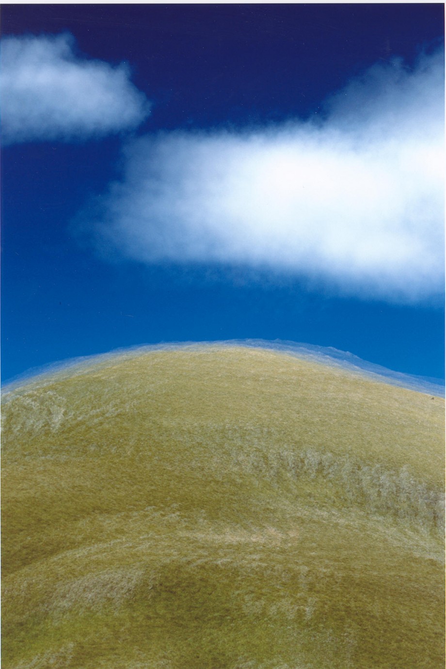 Dream Hill - 
