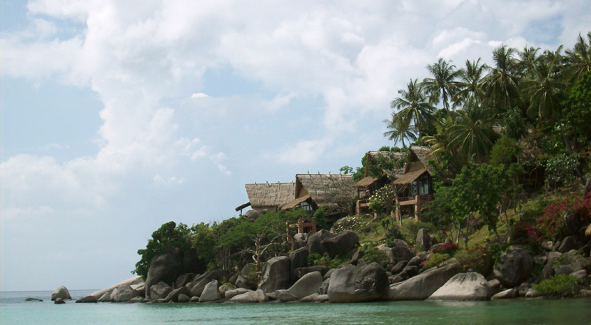 PARADISE - 