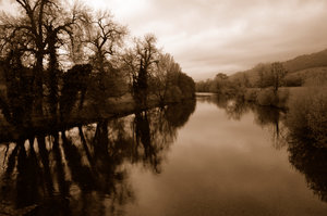 Upon Reflection - 