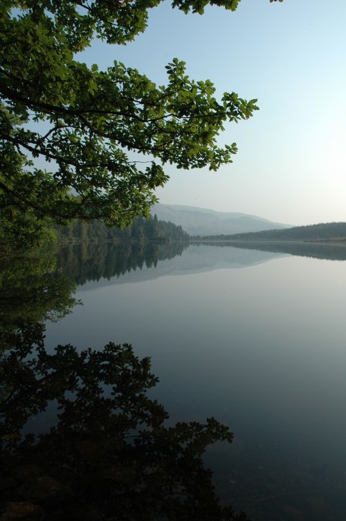 Reflections - 