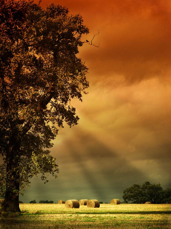 Portrait Landscape - 