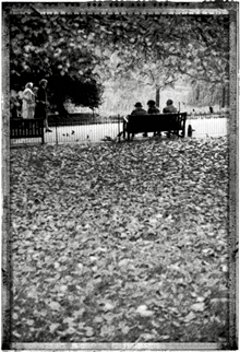 GreenPark - 