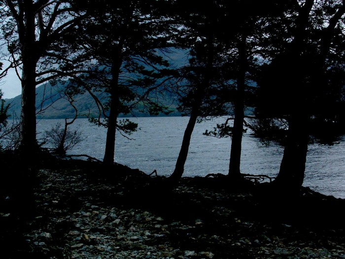 Five Trees - 