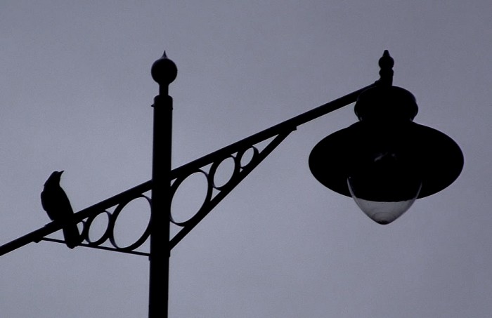 Night Watchman - 