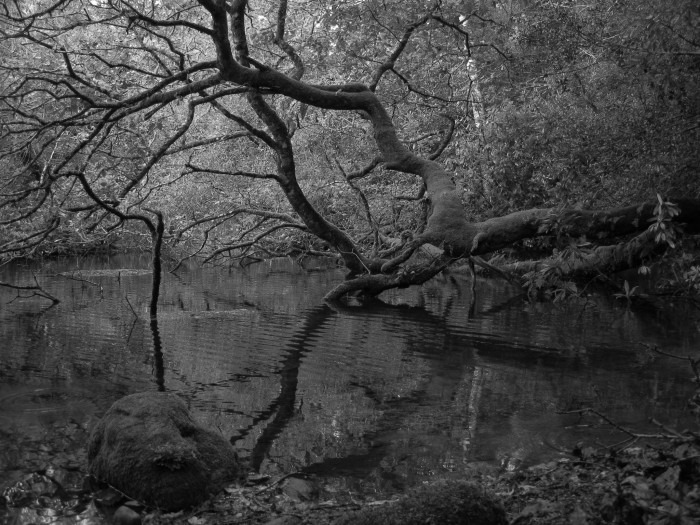 Blue Pool - 