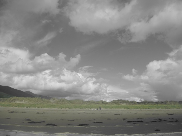 Summer - 