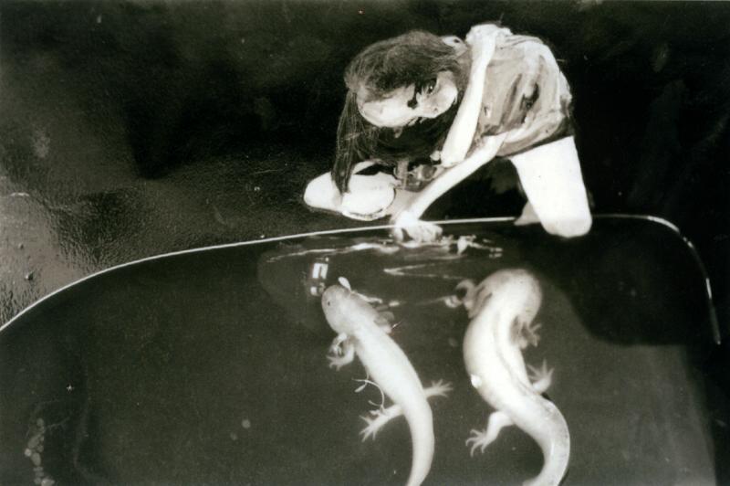 Girl With Axolotls - 