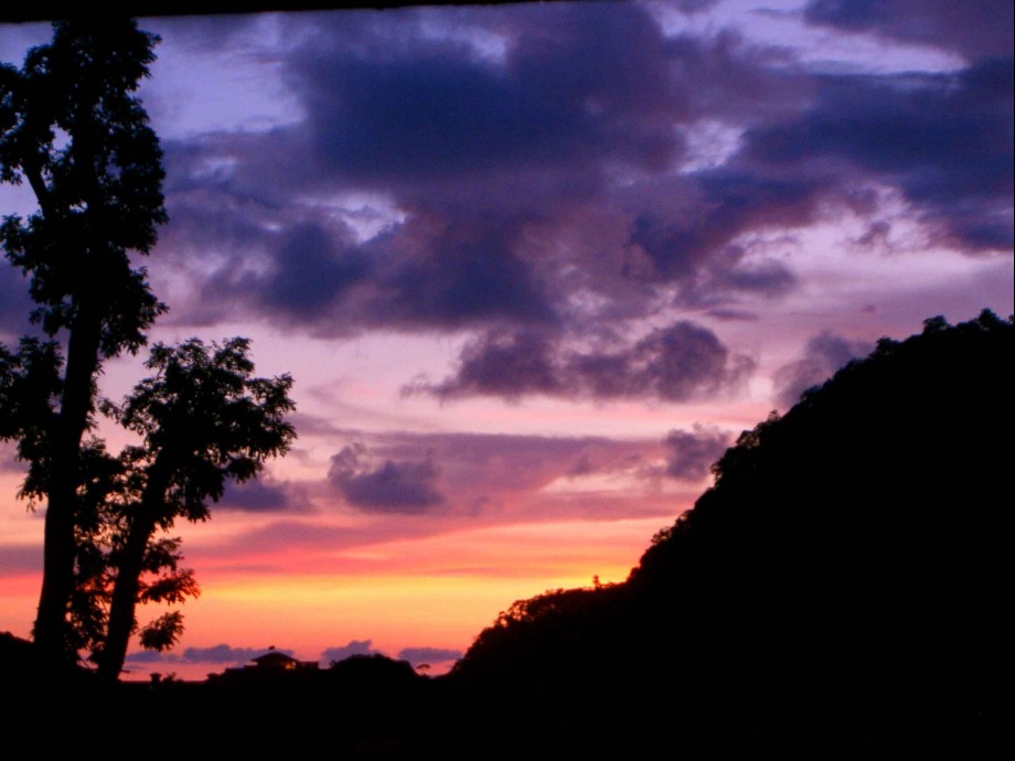Costa Rican Silouette - 