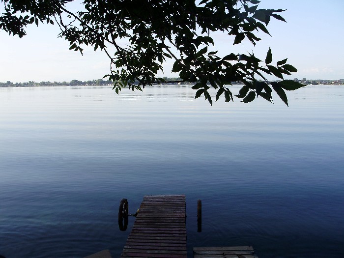 Serene - 