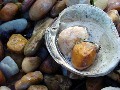 Rocks - 