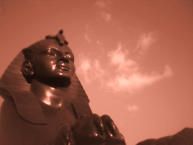 Cleopatras Lion - 