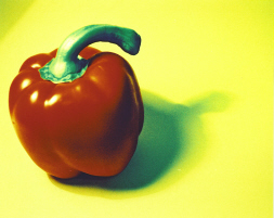 Red Pepper - 