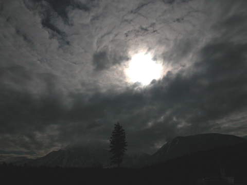 Moon Vortex - 
