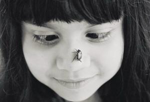 Sofie Bug - 