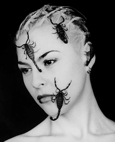 THE FACE FOR SCORPIONS` BATTLE - 