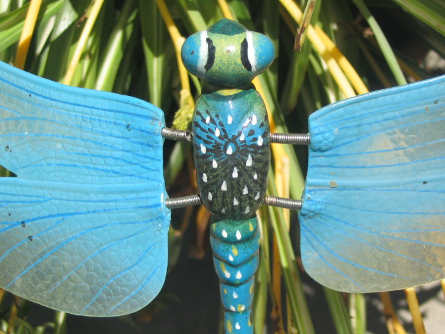 Fly Away Home - 