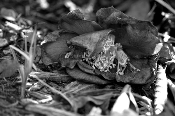 The End Of Summer - 