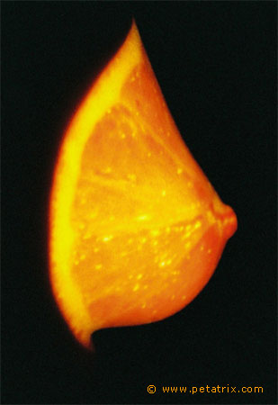 Orange - 