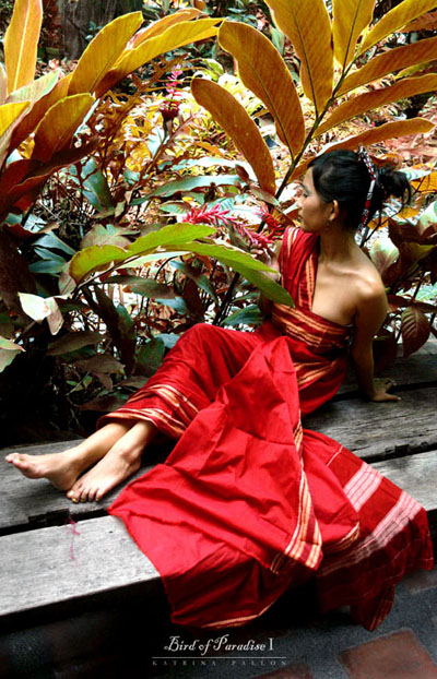 Bird Of Paradise - 