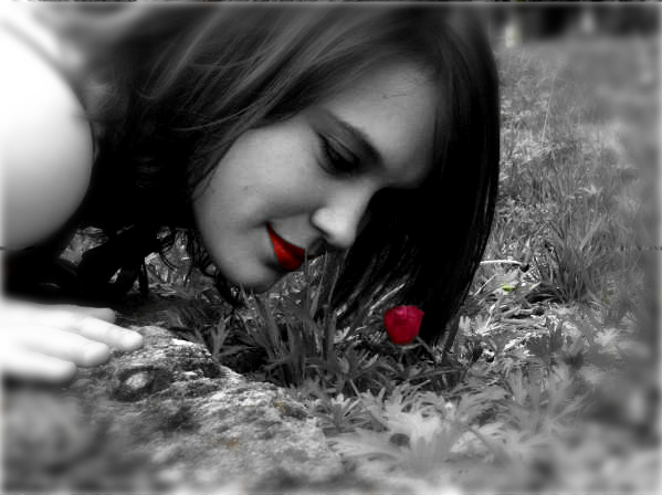 Beauty - 