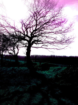 The Downs Haze - 