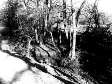 The Downs Negative - 