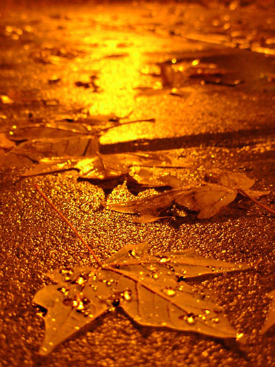 Fallen - 