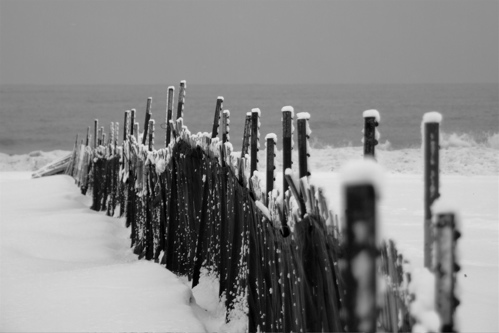 Snow Fence - 