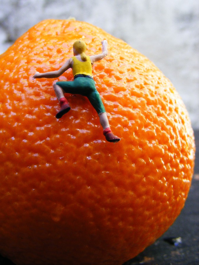 The Climber - 