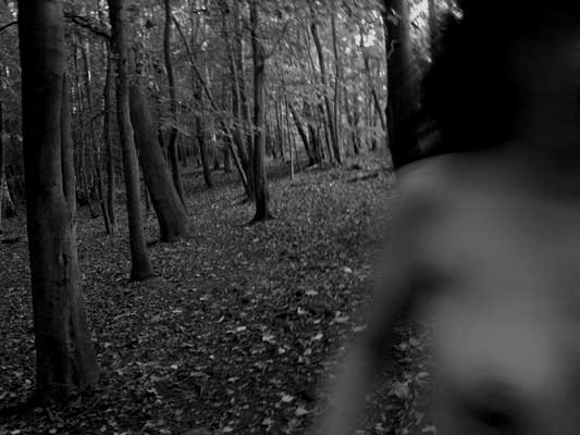 AS I WAS IN THE WOOD - 