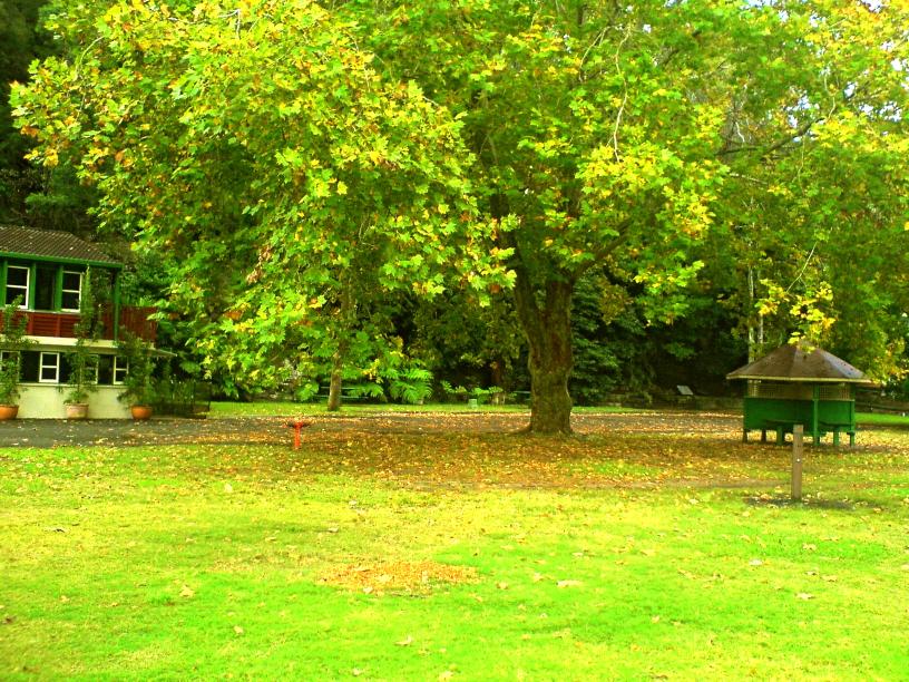 Empty Park - 