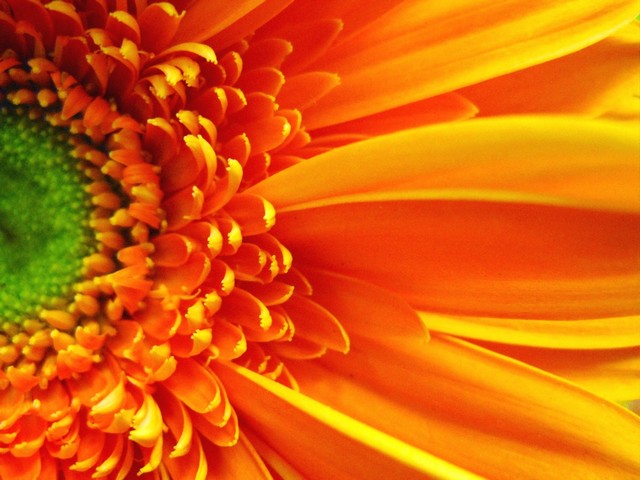 Colors Galore - 