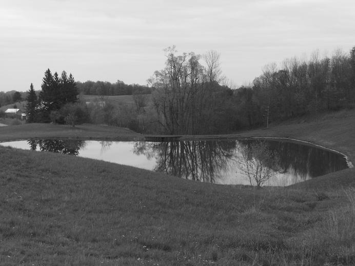 Little Pond - 