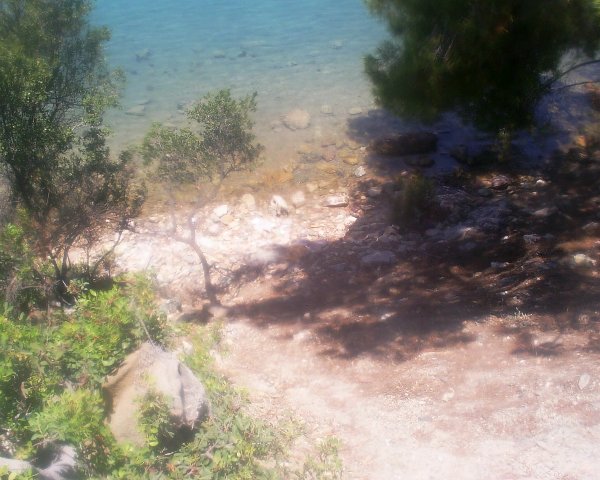 Water Meets Land - 