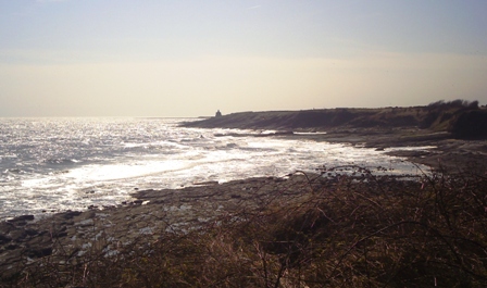 Dramatic Shoreline - 