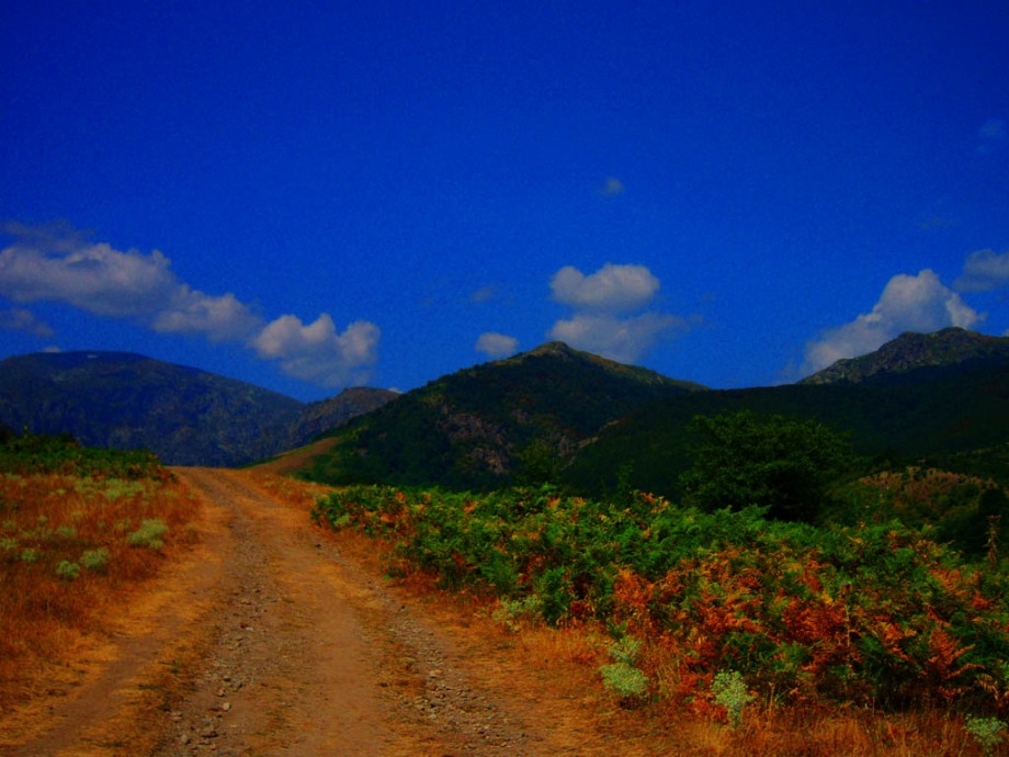 Picture Of The Journey - 